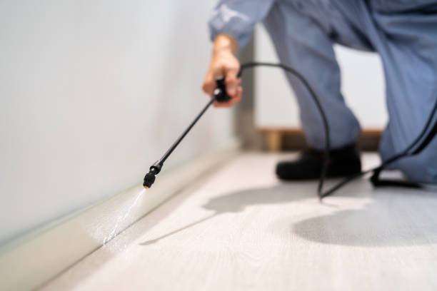 Licensed Mosquito Control service in Sylva, NC - Show Me Pest Control