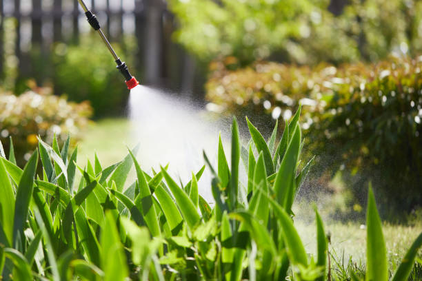24/7 Emergency Mosquito Control experts in Sylva, NC