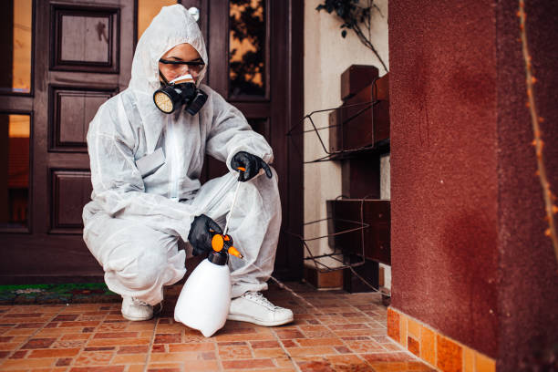 Reliable Mosquito Control contractor in Sylva, NC by Show Me Pest Control